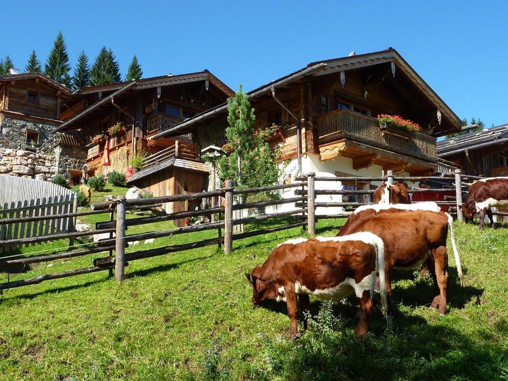 Almdorf Flachau - Luxus Huettenurlaub 部屋 写真